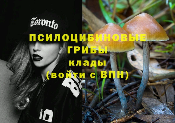 гидра Покачи