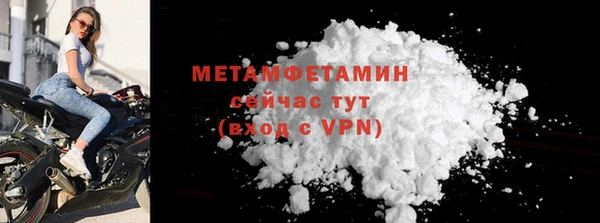 гидра Покачи