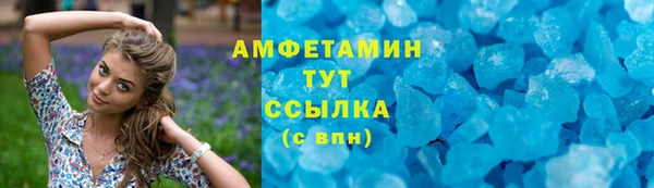 гидра Покачи