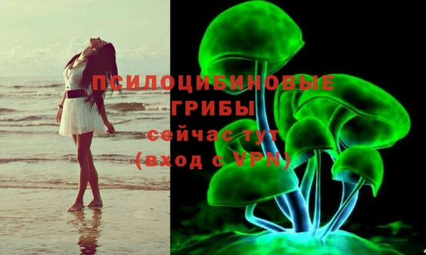 гидра Покачи