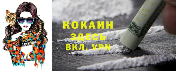 гидра Покачи