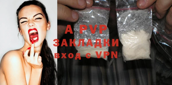 PSILOCYBIN Покров