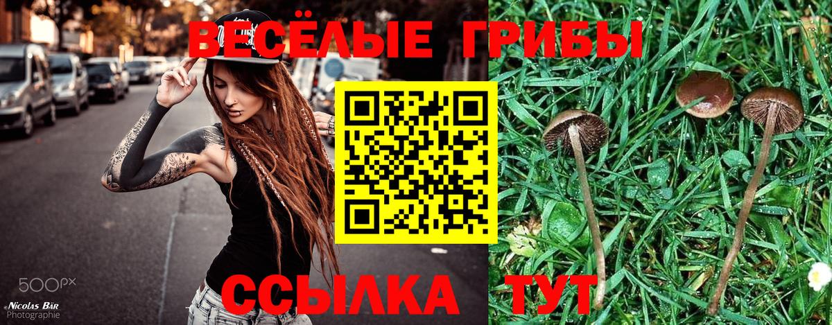 Кушва  Псилоцибиновые грибы Magic Shrooms  Вход с VPN  Галлюциногенные грибы мухоморы 