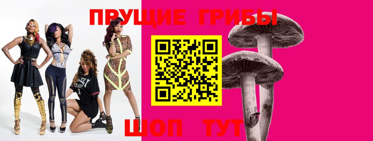 Псилоцибиновые грибы GOLDEN TEACHER Кушва