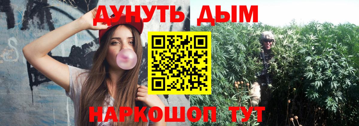 Канабис конопля Кушва